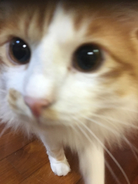 久々の実家 2017/03/21 21:07:00