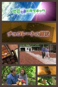 ～ 地デジ放送の録画シェア、も　やってるよ　～ 2013/02/14 12:14:00