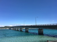 新店舗のおしらせ①　浜比嘉島案内編