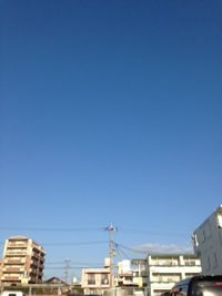 朝から 2016/11/12 09:00:31