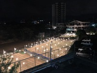 電照菊 2017/09/12 22:03:50