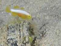 久々の海へ、