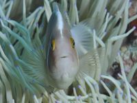 久々の海へ、
