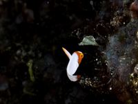 久々の海へ、