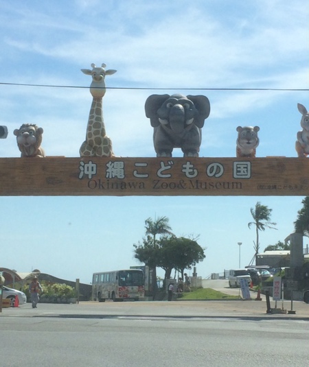 島人のーりーの1日:沖縄の釣り堀
