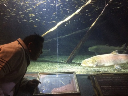 島人のーりーの1日:これが幻の魚なのね！！！！！