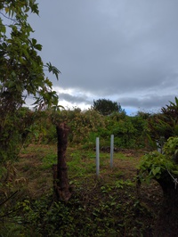 雨 2022/11/10 07:39:30