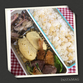 JKお弁当