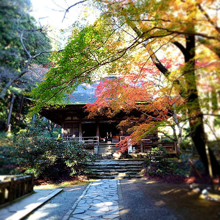 「室生寺」。