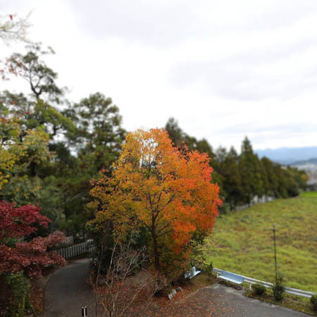 「11月ダイジェスト　日常編」。