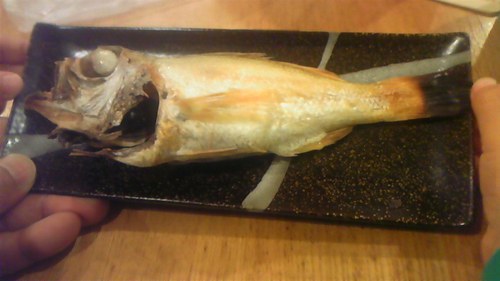 駿河湾ヤリイカ 船吐 立釣魂メンバーブログ