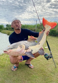 タイランド４日目。。。のりを