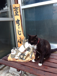 日曜日 2014/04/20 13:00:10