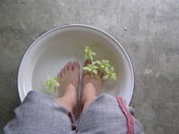 至福のとき 2009/06/03 12:18:18