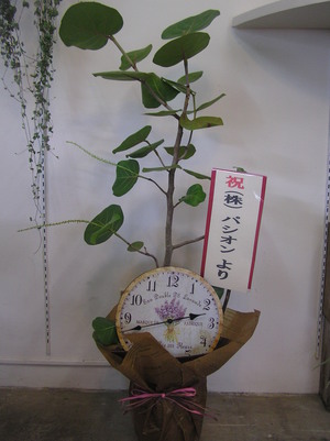 美容室オープン