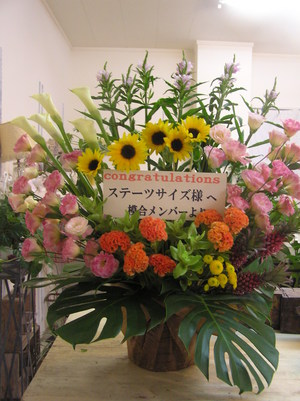 ステーツサイズ