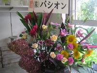 ビューティステージ 2008/10/21 16:12:42