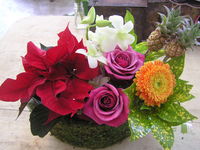 沖縄クリスマス 2008/12/09 13:21:48
