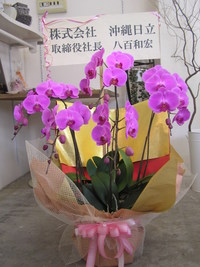 沖縄日立 2007/12/07 17:24:17