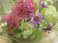 ありがとう。 2008/05/12 22:26:32