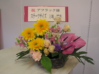 ステーツサイズ 2007/12/03 12:19:59
