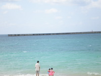 今日は釣り