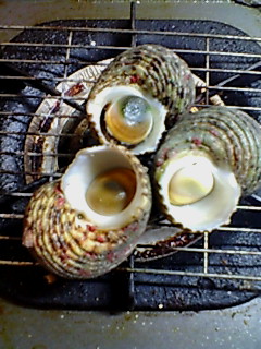 今日の獲物