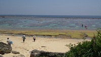 バラハタ 2012/05/07 08:42:13