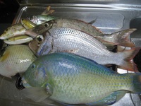 久しぶりの沖防 2011/09/25 18:18:01