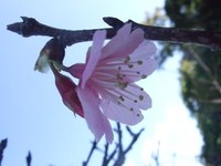 一歩*** 2011/02/02 23:53:01