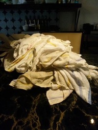 必需品！！ 2011/10/09 15:23:41