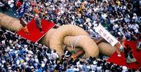 大丈夫(*_*) 2011/10/10 15:13:38