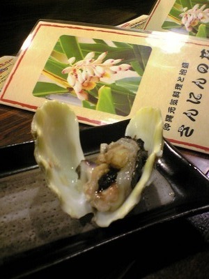 しゃこ貝