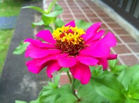 ぼん。 2010/08/24 15:01:10