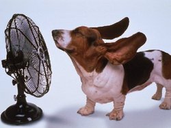 今日の１番の収穫！