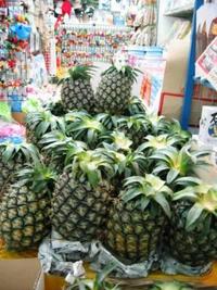 石垣パイナップルは今がうまいニャー 2007/06/21 18:31:38