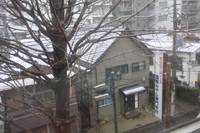 東京は雪が降っています・・・。