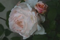 2006年02月20日