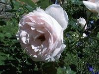2006年03月10日