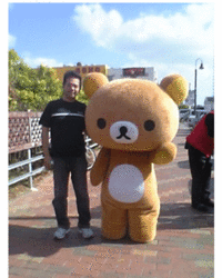 地球温暖化の影響か？人里にクマ出現！ 2006/12/06 10:12:00