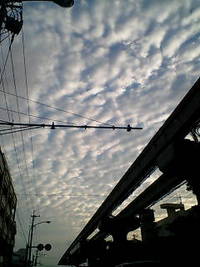 朝 2008/02/22 07:45:04