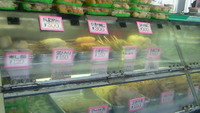 名護の道の駅 2008/03/15 17:37:39