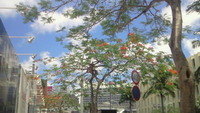 『梅雨明け』 2008/06/17 15:28:55