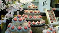 苺大福 2009/03/15 15:54:00