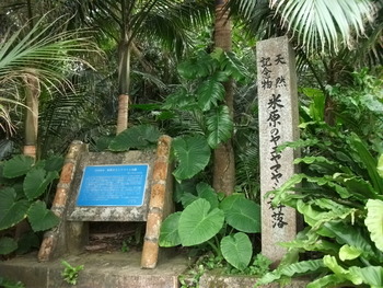 八重山　石垣島マラソン遠征　１日目　石垣島観光編