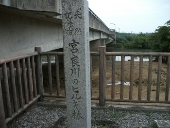 八重山　石垣島マラソン遠征　１日目　石垣島観光編