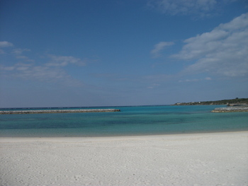 ２０１１ヨロンマラソン遠征　１日目