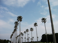 九州の旅　最終日