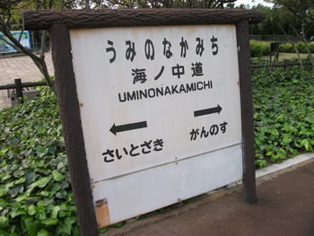 九州の旅　最終日