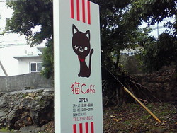 猫カフェ
